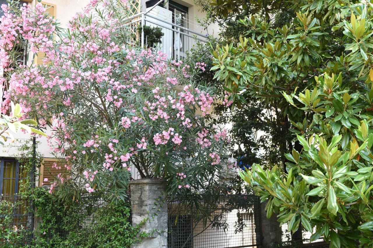 Apartmán Le Rondinelle Como Exteriér fotografie